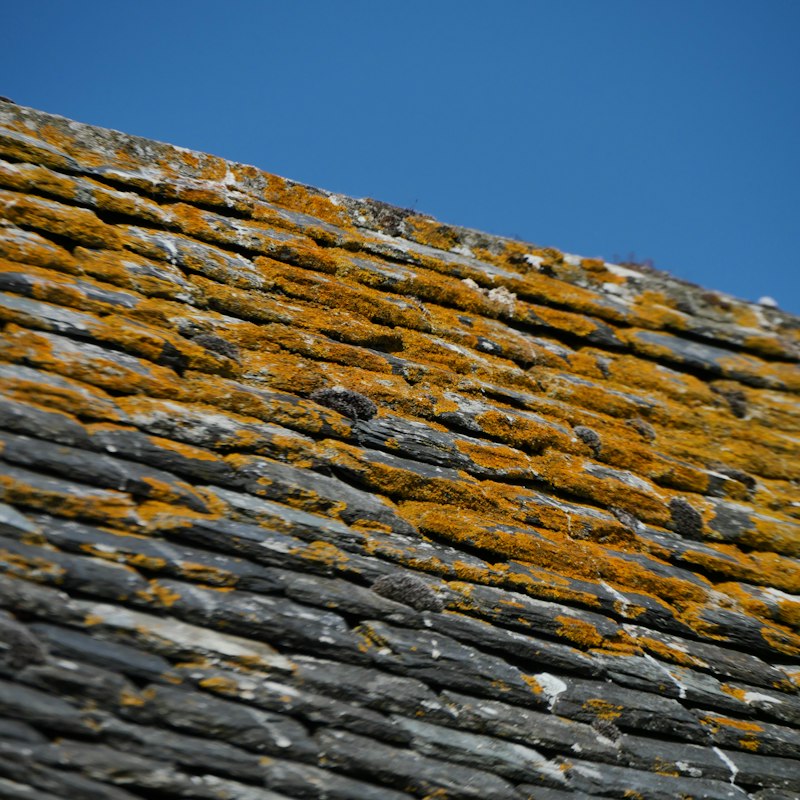 Toiture couverte de mousse et de lichens sous un ciel bleu