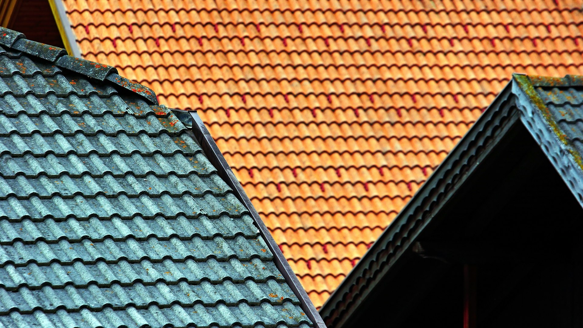 Deux toitures voisines, l'une en tuiles orange, l'autre en tuiles gris-bleu