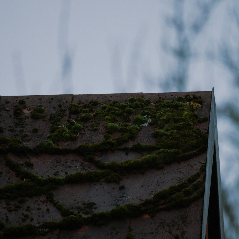 Pignon de toiture en tuiles sombres couvert de lignes de mousse verte