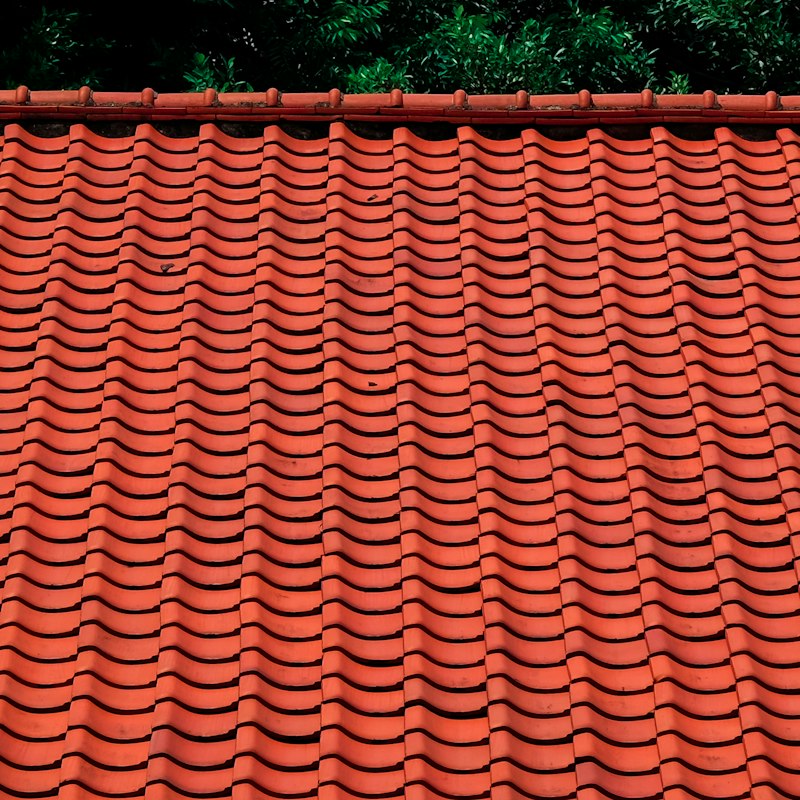 Toiture soignée en tuiles rouge terre cuite avec faîtage, des arbres en arrière-plan